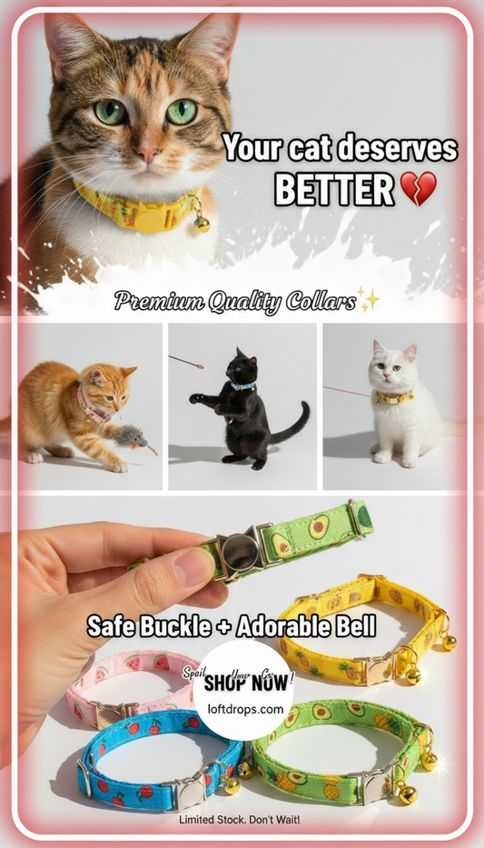 Cute Fruit Print Cat Collar with Bell - Soft Adjustable Breakaway Collar